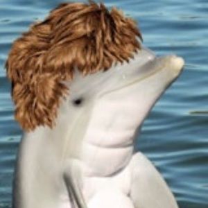 Meet your Posher, Coy